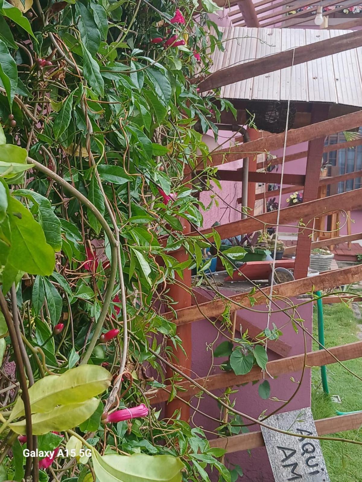 Recanto Pequena Sereia Sao Mateus Ngoại thất bức ảnh